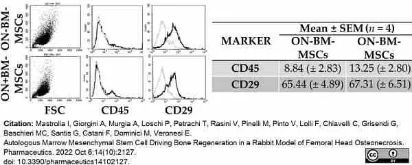 Anti Rabbit CD45 Antibody, clone L12/201 gallery image 9