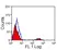 Anti Rabbit CD8 Antibody, clone 12.C7 thumbnail image 1