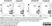 Anti Rabbit CD8 Antibody, clone 12.C7 thumbnail image 4