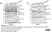 Anti Rabbit GAPDH Antibody, clone 6C5 thumbnail image 11