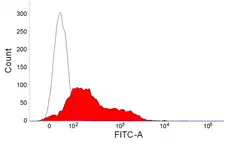 Anti Rabbit IgM (B Cell Marker) Antibody, clone NRBM gallery image 1