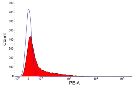 Anti Rabbit IgM (B Cell Marker) Antibody, Clone NRBM | Bio-Rad