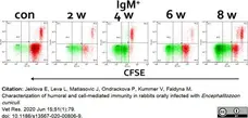 Anti Rabbit IgM (B Cell Marker) Antibody, clone NRBM gallery image 3