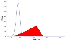 Anti Rabbit MHC Class I Monomorphic Antibody, clone 73-2 gallery image 1