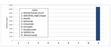 Anti Ramucirumab Antibody, clone AbD51672ia gallery image 1
