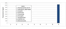 Anti Ramucirumab Antibody, clone AbD53014ia gallery image 1