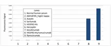 Anti Ramucirumab Antibody, clone AbD53018 gallery image 1