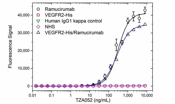 Anti Ramucirumab Antibody, clone AbD53018 gallery image 2
