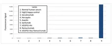 Anti Ramucirumab (Drug/Target Complex) Antibody, clone AbD53034 gallery image 1