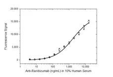 Anti Ranibizumab Antibody, clone AbD16746_hIgG1 gallery image 3