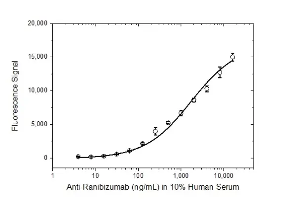 Anti Ranibizumab Antibody, clone AbD16746_hIgG1 gallery image 3