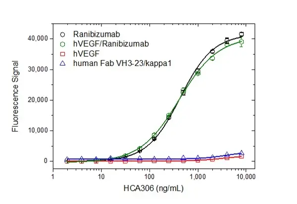 Anti Ranibizumab Antibody, clone AbD29858 gallery image 2