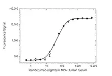 Anti Ranibizumab Antibody, clone AbD29858 gallery image 3