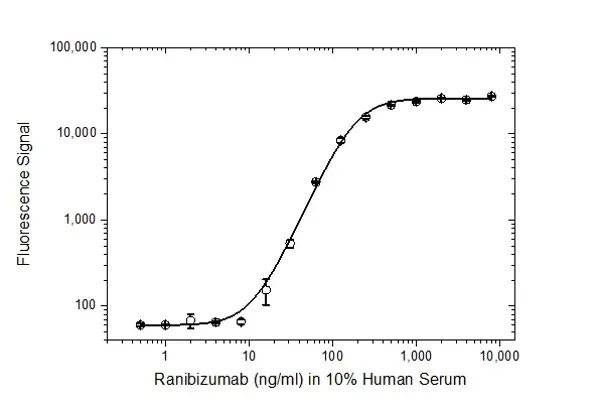 Anti Ranibizumab Antibody, clone AbD29858 gallery image 3