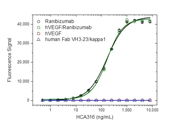 Anti Ranibizumab Antibody, clone AbD29858_hIgG1 gallery image 2