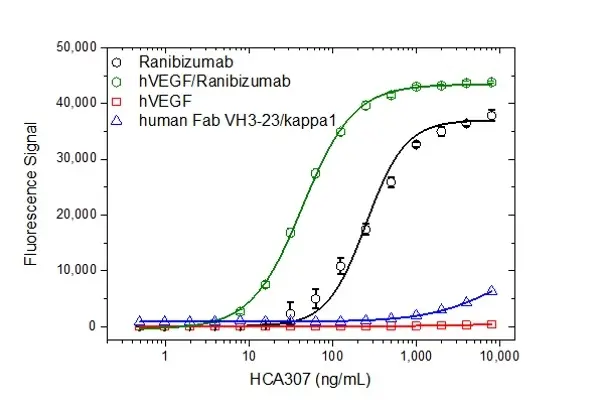 Anti Ranibizumab Antibody, clone AbD29865 gallery image 2