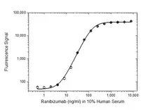 Anti Ranibizumab Antibody, clone AbD29865 gallery image 3