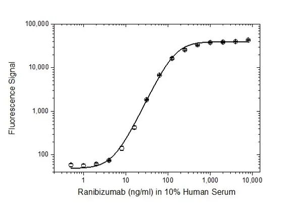 Anti Ranibizumab Antibody, clone AbD29865 gallery image 3