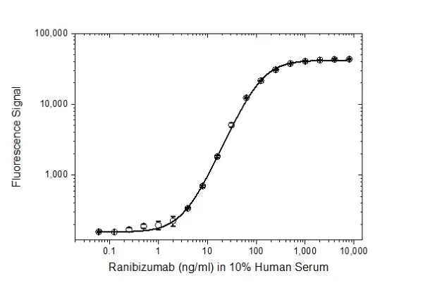 Anti Ranibizumab (Drug/Target Complex) Antibody, clone AbD29928 gallery image 3