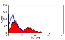 Anti Rat CD106 Antibody, clone MR106 gallery image 1