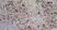 Anti Rat CD11b Antibody, clone ED7 thumbnail image 3