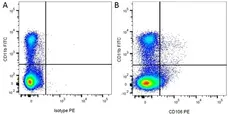 Anti Rat CD11b Antibody, clone ED8 gallery image 1