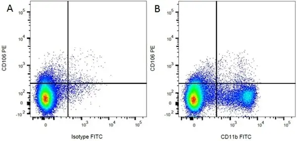 Anti Rat CD11b Antibody, clone ED8 gallery image 2