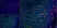 Anti Rat CD11b Antibody, clone ED8 thumbnail image 7