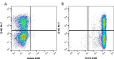 Anti Rat CD11b Antibody, clone OX-42 gallery image 1
