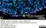 Anti Rat CD11b Antibody, clone OX-42 thumbnail image 24