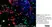 Anti Rat CD11b Antibody, clone OX-42 thumbnail image 25