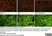 Anti Rat CD11b Antibody, clone OX-42 thumbnail image 36