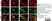 Anti Rat CD11b Antibody, clone OX-42 thumbnail image 37