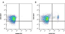 Anti Rat CD161 Antibody, clone 10/78 gallery image 1