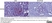 Anti Rat CD163 Antibody, clone ED2 thumbnail image 24