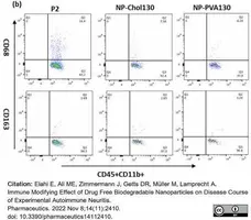 Anti Rat CD163 Antibody, clone ED2 gallery image 26