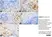 Anti Rat CD163 Antibody, clone ED2 thumbnail image 33