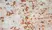 Anti Rat CD163 Antibody, clone ED2 thumbnail image 5