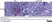 Anti Rat CD169 Antibody, clone ED3 thumbnail image 10