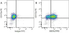 Anti Rat CD172a Antibody, clone ED9 gallery image 10