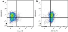 Anti Rat CD172a Antibody, clone ED9 gallery image 9