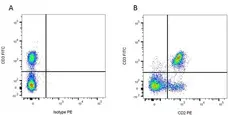 Anti Rat CD2 Antibody, clone OX-34 gallery image 1