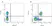 Anti Rat CD2 Antibody, clone OX-34 thumbnail image 1
