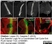 Anti Rat CD2 Antibody, clone OX-34 thumbnail image 3