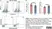 Anti Rat CD25 Antibody, clone OX-39 thumbnail image 13