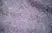 Anti Rat CD25 Antibody, clone OX-39 thumbnail image 5