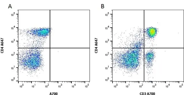 Anti Rat CD3 Antibody, clone 1F4 gallery image 2