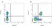 Anti Rat CD3 Antibody, clone 1F4 thumbnail image 3