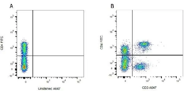Anti Rat CD3 Antibody, clone 1F4 gallery image 4