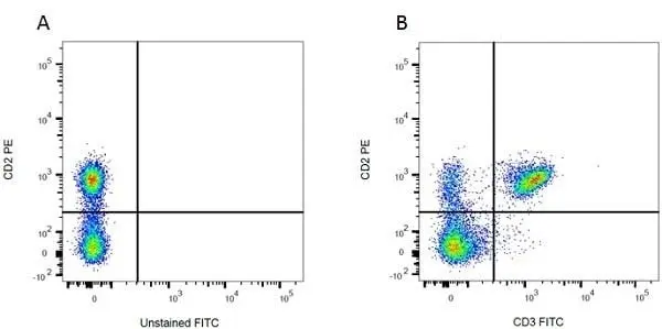 Anti Rat CD3 Antibody, clone 1F4 gallery image 6